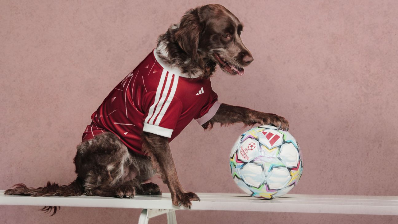 阿迪达斯推出 2026-27 赛季狗狗球衣，涵盖阿森纳等六大俱乐部