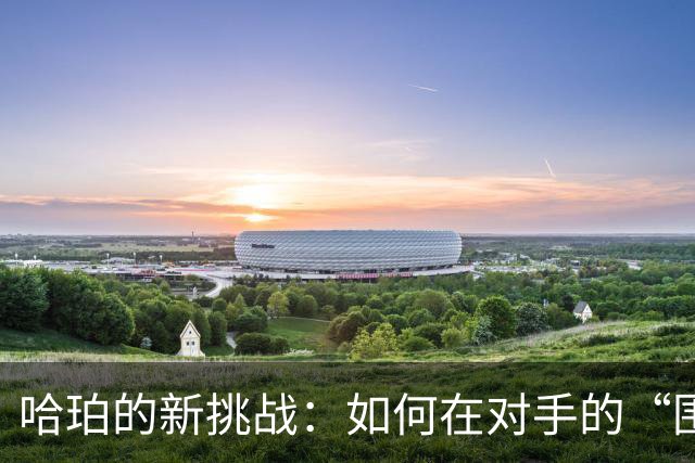 哈珀的新挑战：如何在对手的“围追堵截”中闪耀？